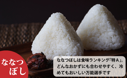 令和７年産　ＪＡ当麻　特Ａななつぼし無洗米　5kg 【A-017】