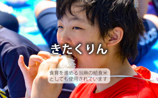 【令和7年産】生活応援！価格大幅改定！籾貯蔵今摺米 無洗米 きたくりん 5kg×3回 計15kg ≪定期便3ヶ月≫ブランド米 北海道米 北海道 米【A-040】