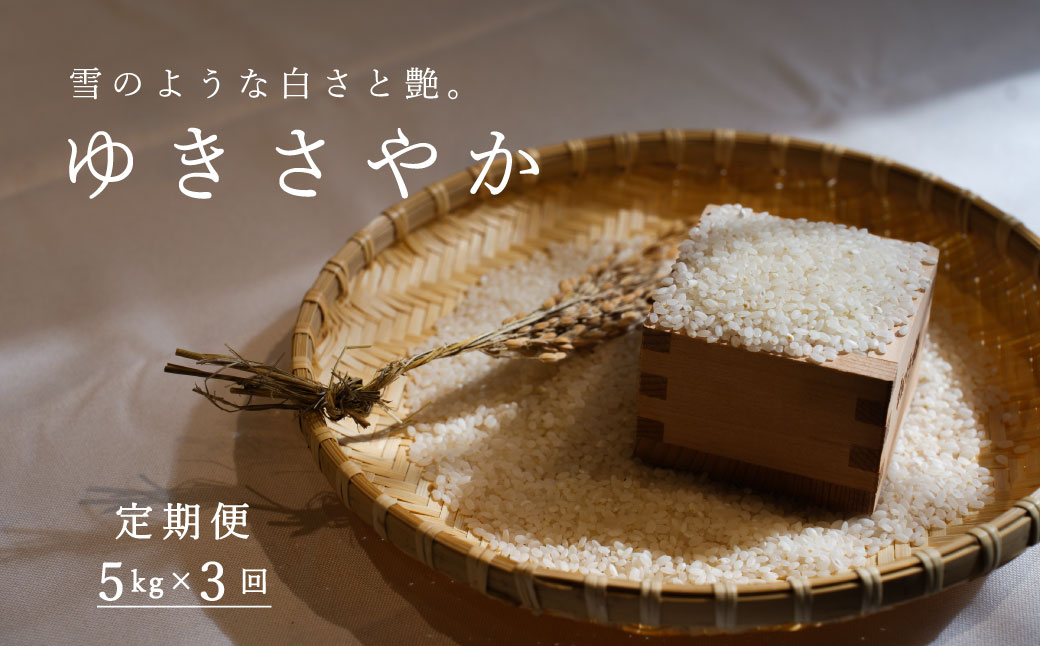 【令和6年産】長谷川農園 ゆきさやか5kg≪定期便3ヶ月≫5kg×3回 15kg以上 北海道米 北海道産 当麻町 北海道【U-042】