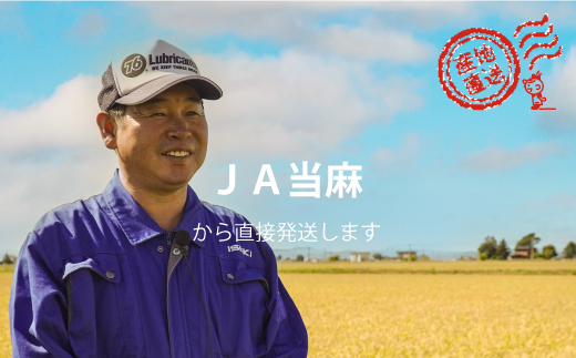 【令和7年産】生活応援！価格大幅改定！籾貯蔵今摺米 無洗米 きたくりん 5kg×3回 計15kg ≪定期便3ヶ月≫ブランド米 北海道米 北海道 米【A-040】