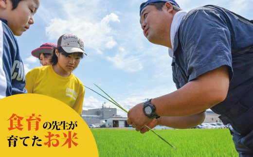 【令和7年産】特別栽培米ななつぼし 5kg 北海道当麻町 舟山農産 減農薬 低農薬【AB-029】