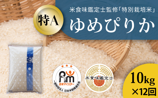 【令和7年産　定期便】特別栽培米ゆめぴりか 10kg×12回 北海道当麻町 舟山農産 減農薬 低農薬【AB-049】
