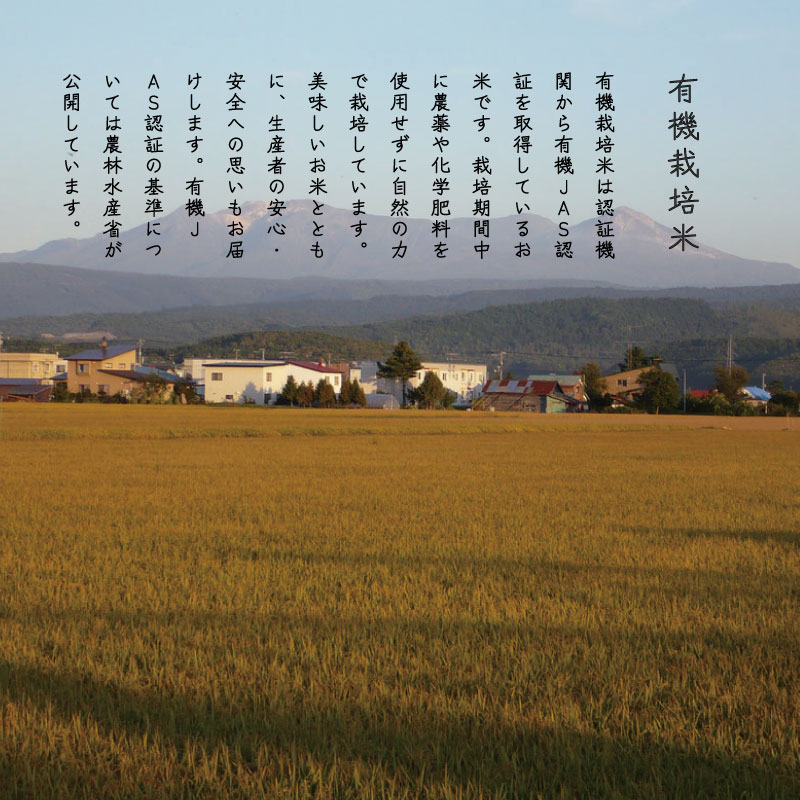 【令和6年産新米先行予約】有機栽培米ゆきひかり 5kg 北海道当麻町 舟山農産 有機JAS認証 有機【AB-034】