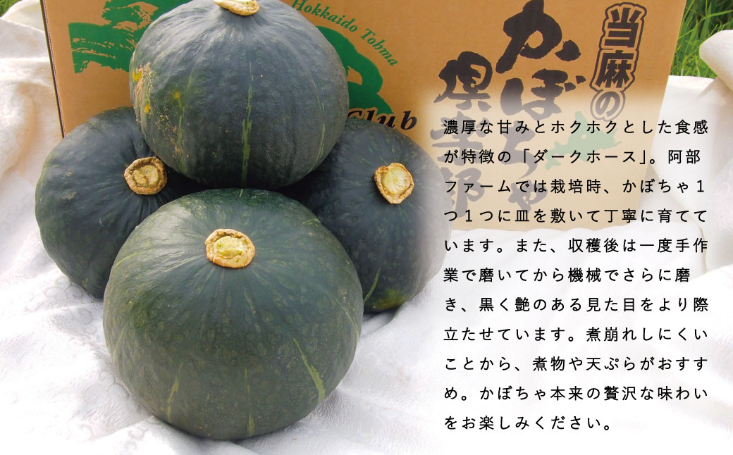 2024年産　かぼちゃ10kg　ダークホース　阿部ファーム　北海道当麻町産【AE-001】