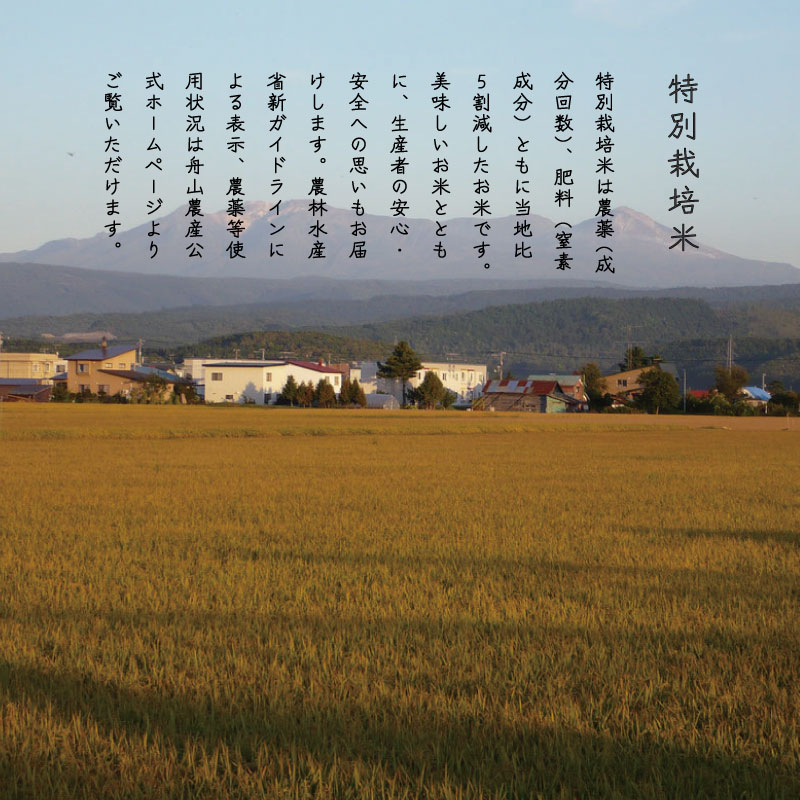 特別栽培米きたくりん 5kg 北海道当麻町 舟山農産 減農薬 低農薬【AB-021】