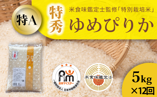 縲蝉サ、蜥鯉シ伜ケエ逕」邀ウ縲螳壽悄萓ソ縲醍音蛻・譬ス蝓ケ邀ウ繧繧√エ繧翫°(迚ケ遘) 5kgテ12蝗 蛹玲オキ驕灘ス馴コサ逕コ 闊溷アア霎イ逕」 貂幄セイ阮ャ 菴手セイ阮ャ縲植B-016縲