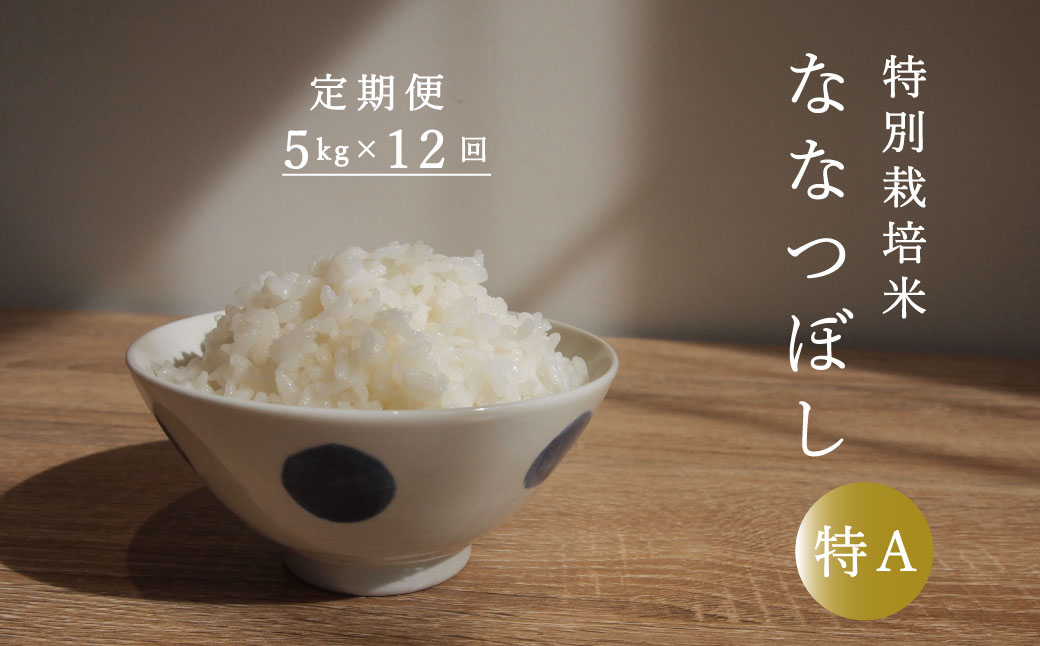 【定期便】特別栽培米ななつぼし 5kg×12回 舟山農産【AB-032】