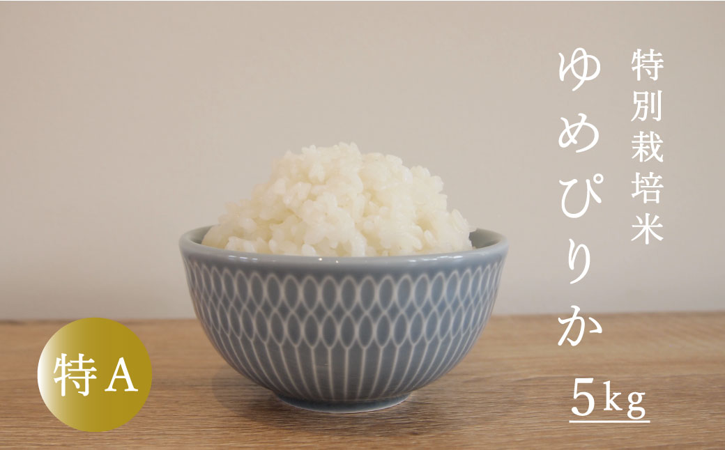 【令和6年産新米先行予約】令和6年産 特別栽培米 ゆめぴりか 5kg 北海道当麻町 舟山農産 減農薬 低農薬【AB-013】