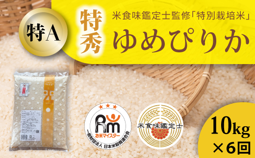 【令和８年産　定期便】特別栽培米ゆめぴりか(特秀) 10kg×6回 北海道当麻町 舟山農産 減農薬 低農薬【AB-019】