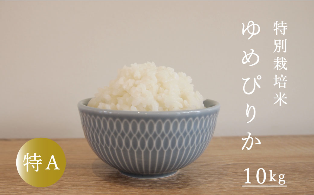 【令和6年産新米先行予約】特別栽培米ゆめぴりか 10kg 北海道当麻町 舟山農産 減農薬 低農薬【AB-017】