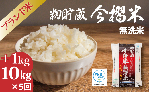 【令和7年産】籾貯蔵今摺米 無洗米 きたくりん 11kg×5回 計55kg ≪定期便5ヶ月≫ブランド米 北海道米 北海道 米【A-008】
