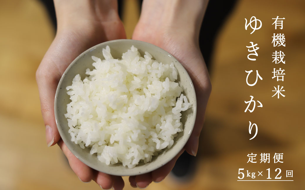 【令和6年産新米先行予約】【定期便】有機栽培米ゆきひかり 5kg×12回 北海道当麻町 舟山農産 有機JAS認証 有機【AB-037】