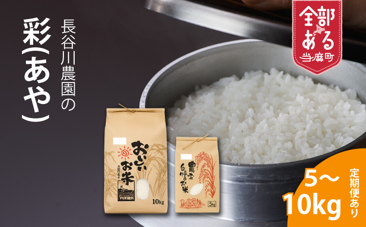 【令和8年産】≪定期便6ヶ月≫ 彩 10kg×6回 計60kg 米 精米 北海道米 北海道産 10kg 当麻町 長谷川農園 60kg以上【U-023】
