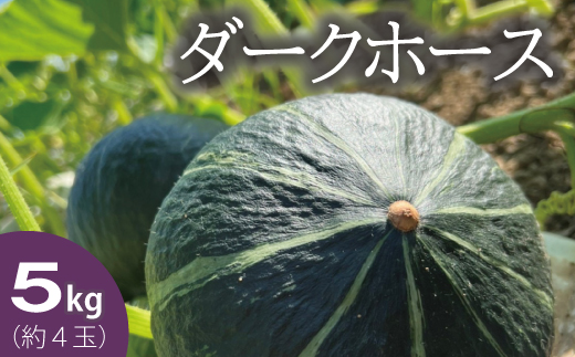 【2026年産先行受付】かぼちゃ5kg　ダークホース　阿部ファーム　北海道当麻町産【AE-002】