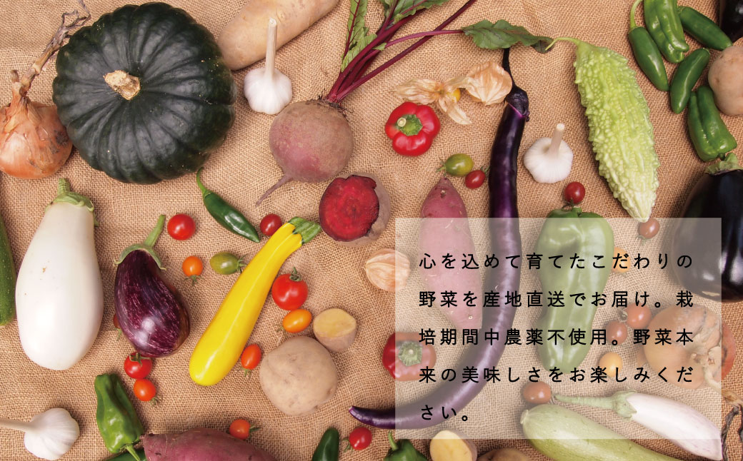 2024年産予約 相馬ファーム季節の野菜詰め合わせ【AH-001】
