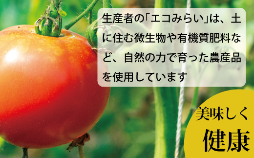 トマトケチャップセット【C-007】