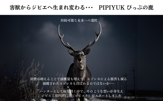 ピリ辛おつまみ エゾ鹿スライスジャーキー 40g×5袋【PIPIYUK】ジビエ 鹿肉 おやつ おつまみ スパイシー 干し肉 北海道 比布町 ぴっぷ 1023-009