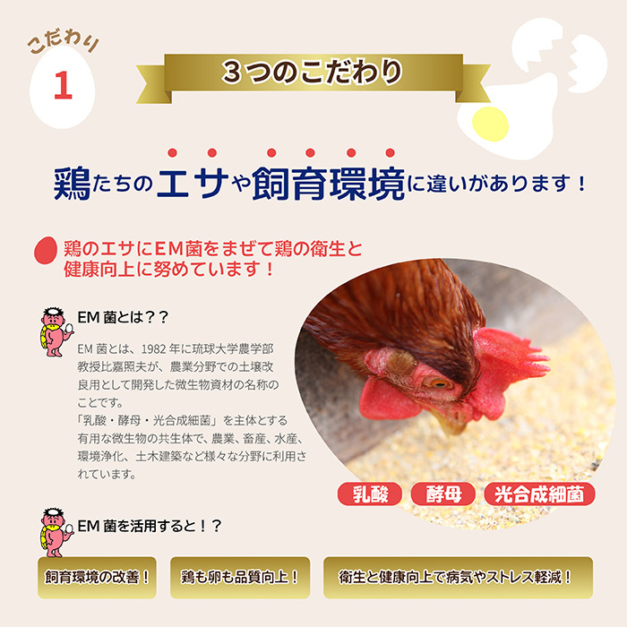 かっぱの健卵 15個 3か月定期便【大熊養鶏場】たまご 卵 玉子 タマゴ 生卵 こだわり 卵かけご飯 TKG 国産 お取り寄せ 北海道 比布町 ぴっぷ 1006-004