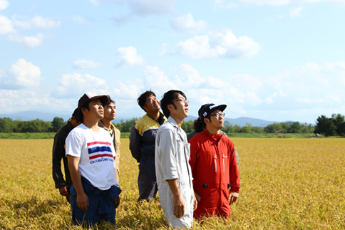 【2024年10月中旬発送～新米予約】ナナプラザ　特別栽培米ゆめぴりか　10kg