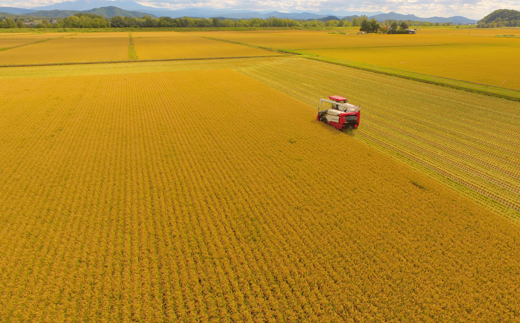 【2024年10月中旬発送～新米予約】ナナプラザ　特別栽培米ゆめぴりか　2kg