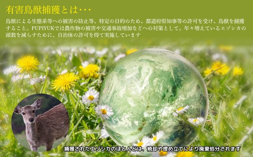 ピリ辛おつまみ エゾ鹿スライスジャーキー 40g×4袋【PIPIYUK】ジビエ 鹿肉 鹿 蝦夷鹿 シカ おやつ おつまみ スパイシー 干し肉 北海道 比布町 ぴっぷ 1023-008