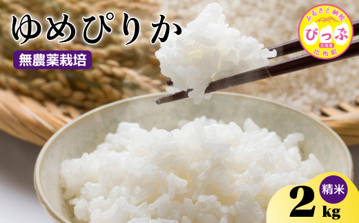 令和7年産 新米 ゆめぴりか 精米 2kg【今野農園】無農薬栽培 農薬不使用 化学肥料不使用 米 お米 北海道米 特Aランク 国産 白米 コメ 2025年産 北海道 比布町 ぴっぷ 1012-003
