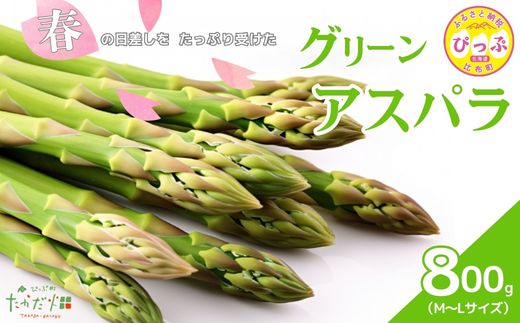 【2026年4月中旬から発送】比布町産 グリーンアスパラ M〜Lサイズ 800g【たかだ畑】春アスパラ 野菜 新鮮 緑黄色野菜 国産 北海道産 産地直送 北海道 比布町 ぴっぷ 1018-003
