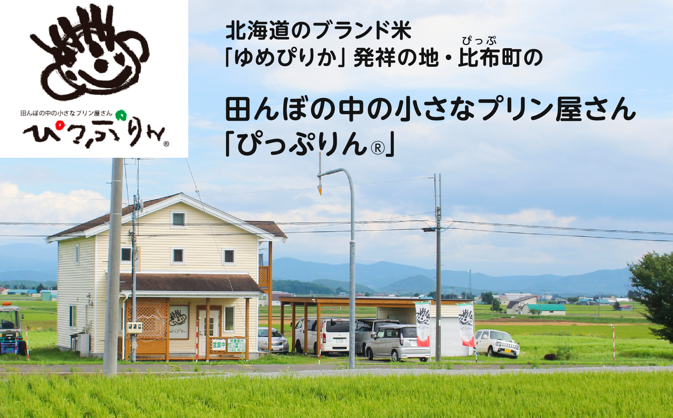 ç°ããŒã®äžã®å°ããªããªã³å±ããã®ããŽã£ã·ããã 90mlÃ6æ¬ããŽã£ã·ãããããªã³ ã·ãã ã«ã©ã¡ã«äžäœ¿çš ãµããšã ã¹ã€ãŒã ãã¶ãŒã ãã〠ãèå æŽèå ãåãå¯ã åæµ·é æ¯åžçº ãŽã£ã· 1008-001