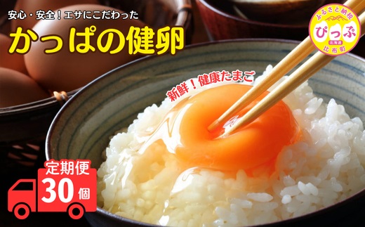 かっぱの健卵 30個 3か月定期便【大熊養鶏場】たまご 卵 玉子 タマゴ 生卵 こだわり 卵かけご飯 TKG 国産 お取り寄せ 北海道 比布町 ぴっぷ 1006-006