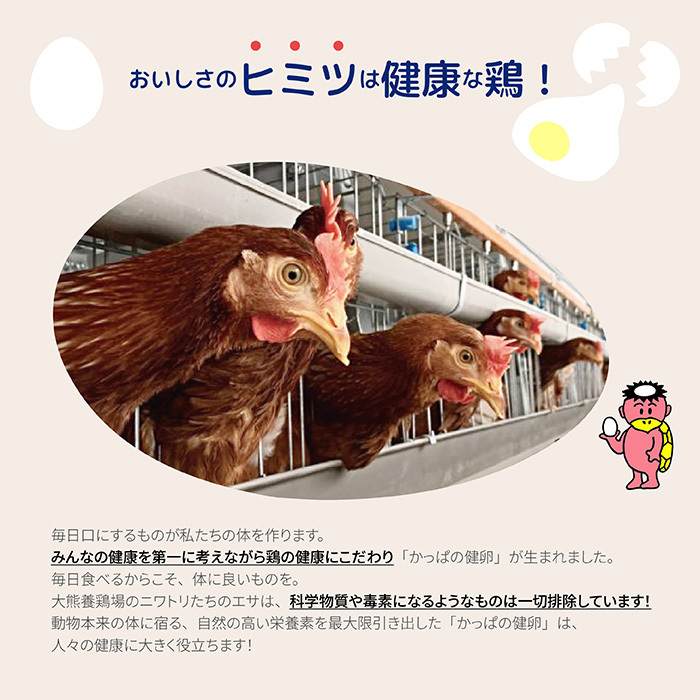 かっぱの健卵 15個入り【大熊養鶏場】たまご 卵 玉子 タマゴ 生卵 こだわり 卵かけご飯 TKG 国産 お取り寄せ 北海道 比布町 ぴっぷ 1006-001