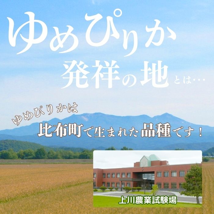 令和7年産 ゆめぴりか 精米 5kg【農業生産法人ノウリエ】米 お米 北海道米 特Aランク 国産 白米 コメ 北海道 比布町 ぴっぷ 1017-005