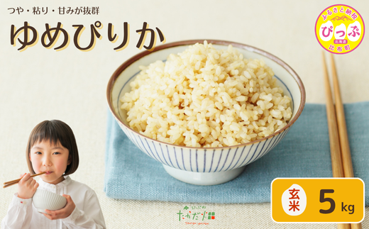 令和7年産 ゆめぴりか 玄米 5kg【たかだ畑】 米 お米 北海道米 特Aランク 国産 玄米 コメ 2025年産 北海道 比布町 ぴっぷ 1018-012