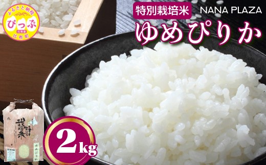 ナナプラザ 特別栽培米ゆめぴりか 2kg