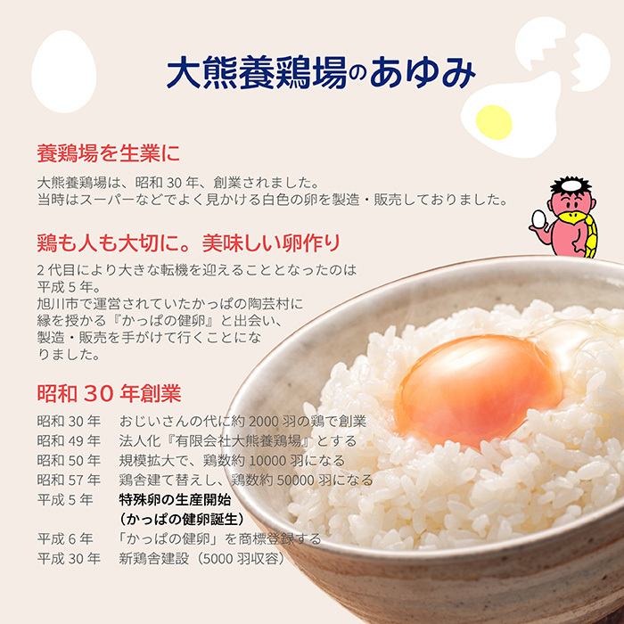 かっぱの健卵 15個入り【大熊養鶏場】たまご 卵 玉子 タマゴ 生卵 こだわり 卵かけご飯 TKG 国産 お取り寄せ 北海道 比布町 ぴっぷ 1006-001