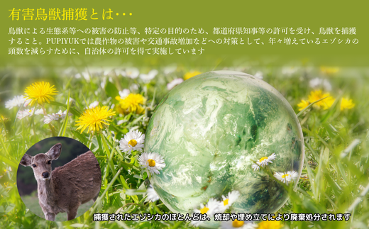 エゾ鹿肉ウインナー 5本入（120g×5袋）【PIPIYUK】ジビエ 鹿肉 鹿 蝦夷鹿 シカ おやつ おつまみ スパイシー 干し肉 北海道 比布町 ぴっぷ 1023-012