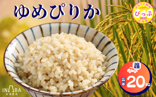 稲場農場　ゆめぴりか　玄米　20kg【３回定期便】