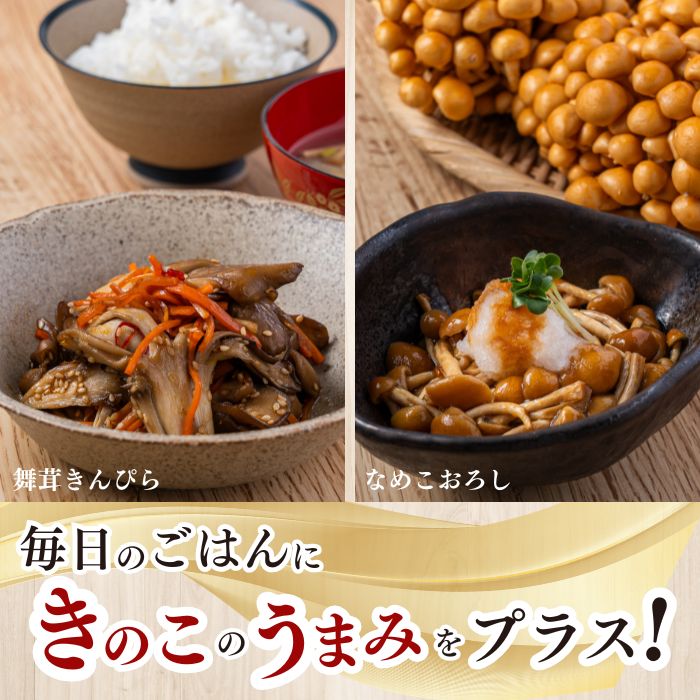 きのこ2種セット 計860g ジャンボまいたけ 500g なめこ 180g×2【北海道きのこ品評会 最優秀賞受賞】【遠藤農産】きのこ キノコ セット 詰め合わせ 舞茸 滑子 国産 北海道産 北海道 比布町 ぴっぷ 1002-001