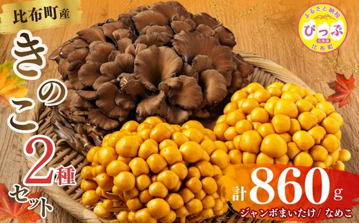 きのこ2種セット 計860g ジャンボまいたけ 500g なめこ 180g×2【北海道きのこ品評会 最優秀賞受賞】【遠藤農産】きのこ キノコ セット 詰め合わせ 舞茸 滑子 国産 北海道産 北海道 比布町 ぴっぷ 1002-001