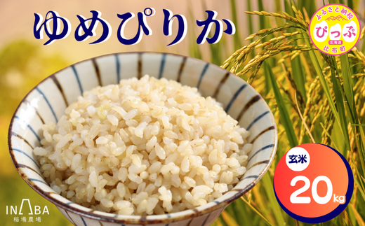 稲場農場　ゆめぴりか　玄米　20kg