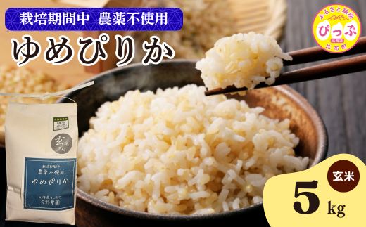令和7年産 今野農園 ゆめぴりか 玄米 5kg 【ピリカ(株)】 化学肥料不使用 米 お米 北海道米 特Aランク 国産 コメ 2025年産 北海道 比布町 ぴっぷ 1012-007