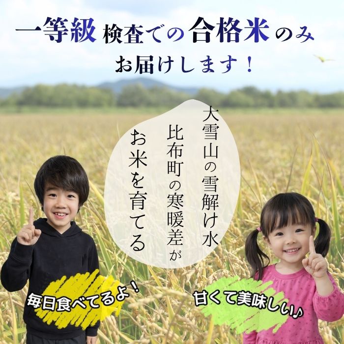 令和7年産 ゆめぴりか 玄米 30kg【農業生産法人ノウリエ】米 お米 北海道米 特Aランク 国産 コメ 北海道 比布町 ぴっぷ 1017-010