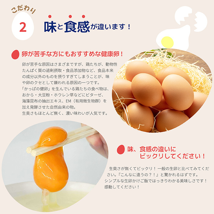 かっぱの健卵 20個入り【大熊養鶏場】たまご 卵 玉子 タマゴ 生卵 こだわり 卵かけご飯 TKG 国産 お取り寄せ 北海道 比布町 ぴっぷ 1006-002