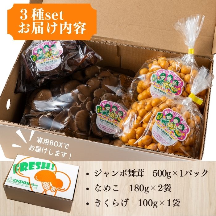 きのこ3種セット 計960g ジャンボまいたけ 500g なめこ 180g×2 きくらげ 100g【北海道きのこ品評会 最優秀賞受賞】【遠藤農産】きのこ キノコ セット 詰め合わせ 舞茸 滑子 木耳 国産 北海道産 北海道 比布町 ぴっぷ 1002-002