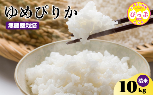 令和7年産 新米 ゆめぴりか 精米 10kg【今野農園】無農薬栽培 農薬不使用 化学肥料不使用 米 お米 北海道米 特Aランク 国産 白米 コメ 2025年産 北海道 比布町 ぴっぷ 1012-005