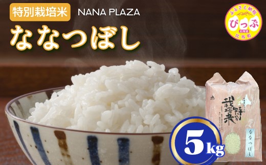 令和7年産 新米 特別栽培米 ななつぼし 5kg【ナナプラザ】米 お米 北海道産 北海道米 特Aランク 国産 白米 コメ 北海道 比布町 ぴっぷ 1021-003