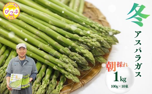 【12月下旬より発送】冬グリーンアスパラ M〜Lサイズ 1kg（100g 10束）【菅原クリーンファーム】伏せ込み栽培 朝採り 野菜 新鮮 緑黄色野菜 国産 北海道産 産地直送 北海道 比布町 ぴっぷ 1020-001