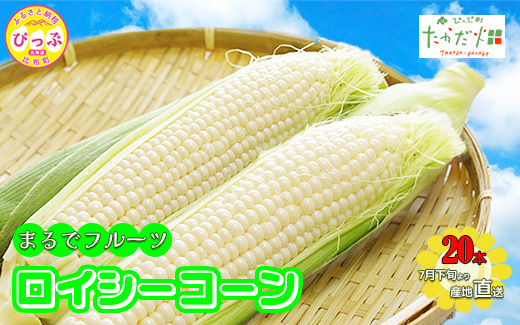 【2026年7月下旬頃発送】「ロイシーコーン」20本 約4kg【たかだ畑】とうもろこし スイートコーン 白い 野菜 産地直送 とうきび BBQ バーベキュー キャンプ 甘い 北海道 比布町 ぴっぷ 1018-002
