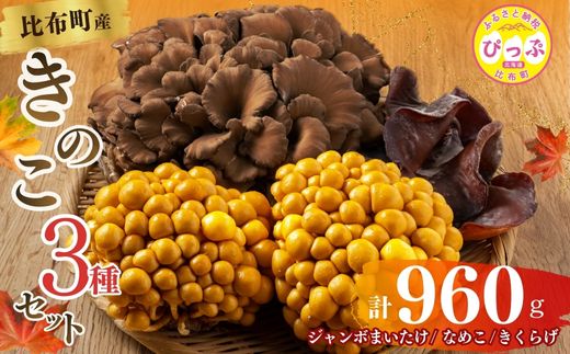 ãã®ã3çš®ã»ãã èš960g ãžã£ã³ããŸããã 500g ãªãã 180gÃ2 ãããã 100gãåæµ·éãã®ãåè©äŒ æåªç§è³åè³ããé è€èŸ²ç£ããã®ã ããã³ ã»ãã è©°ãåãã èèž æ»å æšè³ åœç£ åæµ·éç£ åæµ·é æ¯åžçº ãŽã£ã· 1002-002