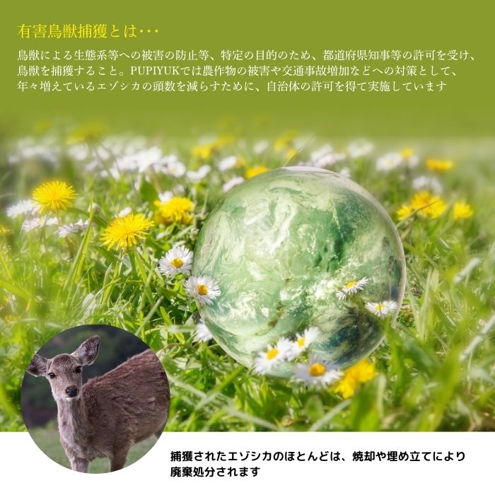 ãšãŸé¹¿èã®ããã»ããBãPIPIYUKããžã㚠鹿è 鹿 ãžã£ãŒã㌠干ãè ãŠã€ã³ã㌠ãã©ã³ã¯ãã«ã ãžã³ã®ã¹ã«ã³ ã®ãã ã»ãã è©°ãåãã åæµ·é æ¯åžçº ãŽã£ã· 1023-026