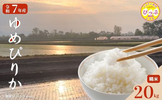 令和7年産 ゆめぴりか 精米 20kg【菅原クリーンファーム】 米 お米 北海道米 特Aランク 国産 コメ 北海道 比布町 1020-004